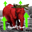 Strawberry Elephant (ØΜØ¨Ø§Ø­ Ø§Ù„ÙØ±)